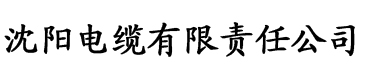 大香蕉网络视频影院电缆厂logo